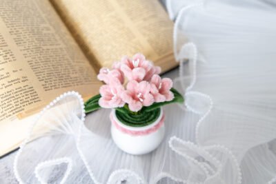 Mini-campanules en pot
