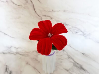 Fleur d'hibiscus