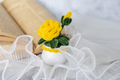 Mini-rose en pot