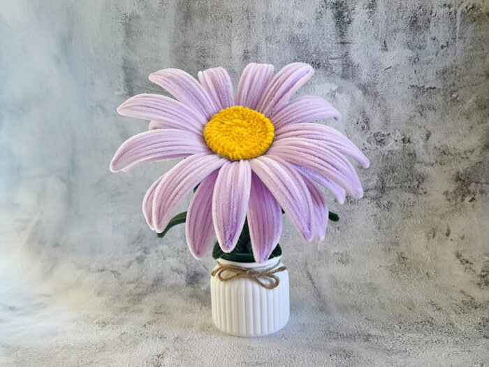 Marguerite géante en pot – Image 2