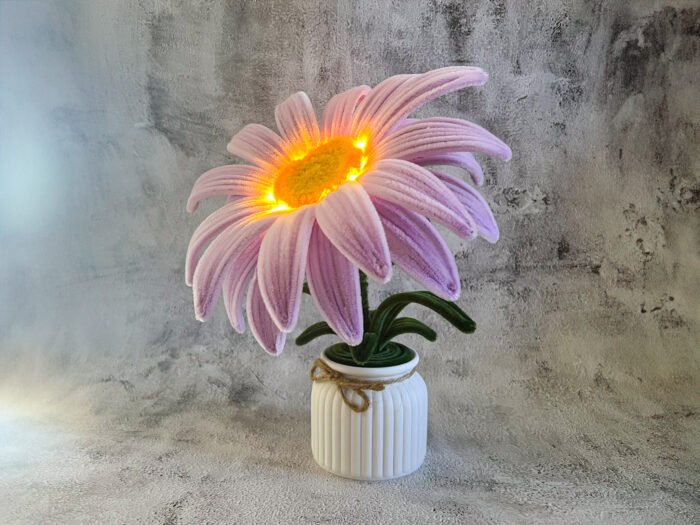 Marguerite géante en pot