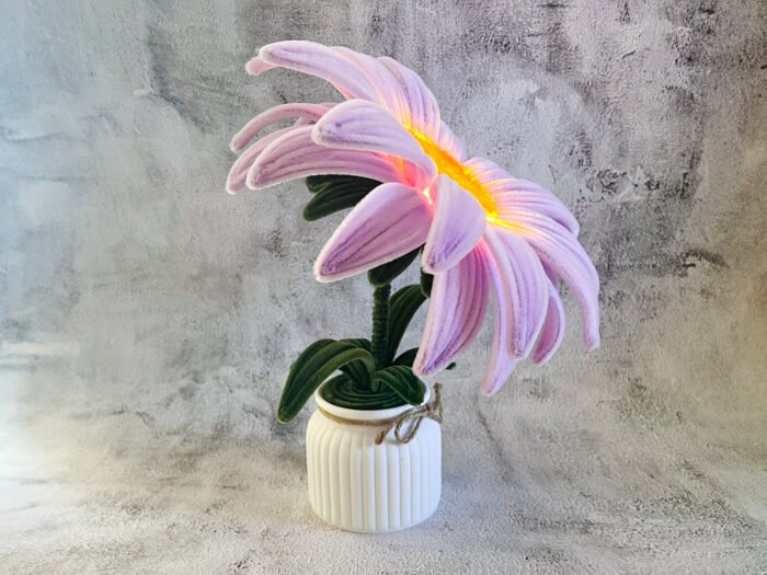 Marguerite géante en pot – Image 4
