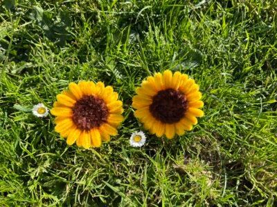 Accessoire grille voiture tournesol